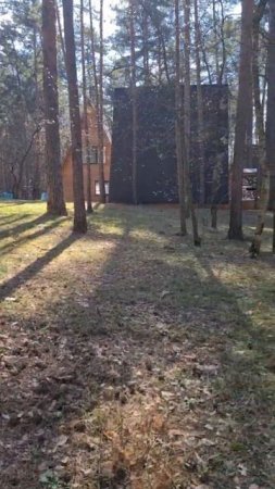 Лесная Опушка. Территория