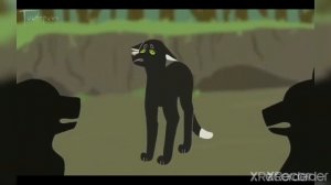 Коты воители | Горелый клип panic room