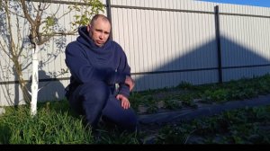 МУЖ УГОДИЛ,ХОЗЯЙКА ДОВОЛЬНА/ДЕЛА В ДЕРЕВНЕ ИДУТ/ЛУЧШЕ НЕ ПРИДУМАТЬ/СТРОЙКА, САД, ОГОРОД