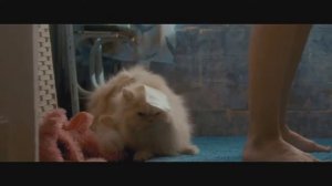 Tresh of MUSIC #1 | Я нормальный парень на лабутенах