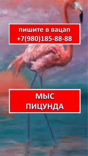 ОТДЫХ В ПИЦУНДА