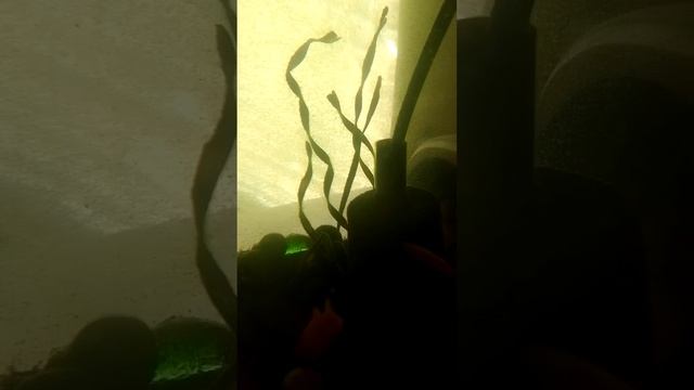 89. "Таухид - это чистая вера": Книга "Достоинства Единобожия"; Шейх Аль-'Умейсан. смотреть онлайн