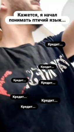 начал понимать птичий язык