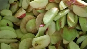 Яблочная сушка