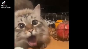 я шепну тебе на ушко #мем