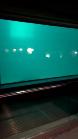 VID_20250412_134211.mp4
