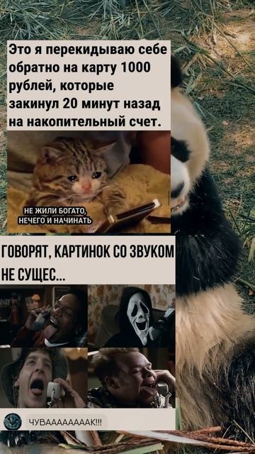 Лучшие МЕМЫ смотри коммент #memes #fyp #youtube #shorts #юмор #приколы #мем #мемы #смешныевидео смотреть онлайн