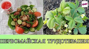 ПЕРВОМАЙСКАЯ ТРУДОТЕРАПИЯ.