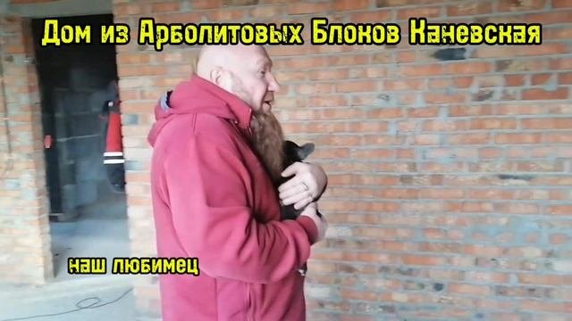 Арболит против Газоблока #арболитовыеблоки #арболит