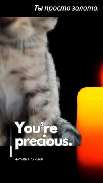 Выражение чувств на английском языке. Expression of feelings in English  #английский #english #cat