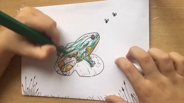 Рисую лягушку! / I draw a frog! / 我画一只青蛙/ Ich male einen Frosch! /Je dessine une grenouille! /カエルを描