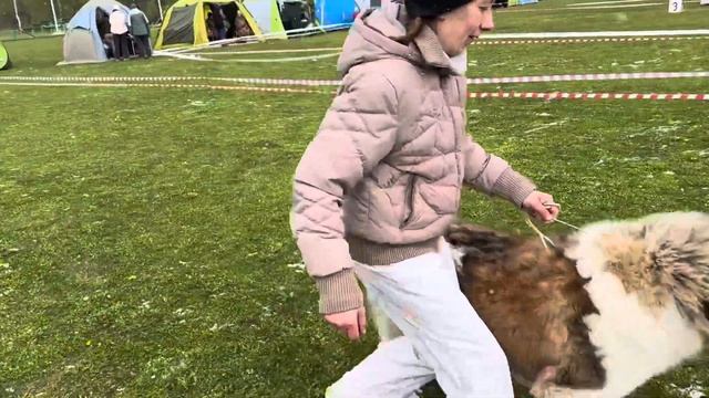 РАДОМИР смотреть онлайн