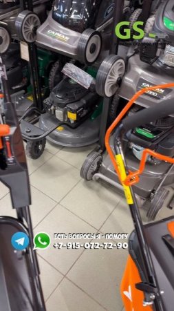 Выбираем вместе газонокосилку в 2025-м году #Косить #Газон #Газонокосилка #БензиноваяГазонокосилка