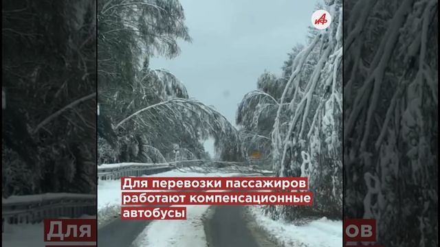 Дикий холод и ливни. Вильфанд предупредил об «очень сложной погоде» в Москве