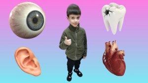 Музей анатомии человека