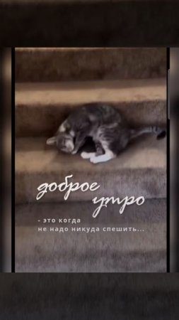 Доброе утро #доброеутро #благодарность