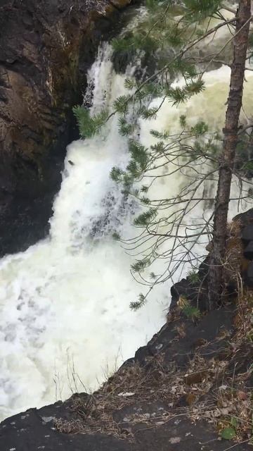 Кивач Карелия где находится Киева водопад Кивач смотреть онлайн