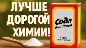 Не Покупай Дорогую Химию! Это Средство Работает Лучше