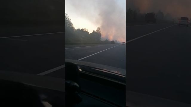 В Смоленской области горят торфяники смотреть онлайн
