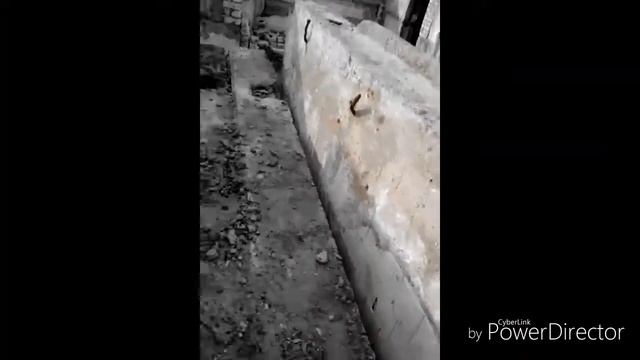 Vlog#1 паркур без страховки