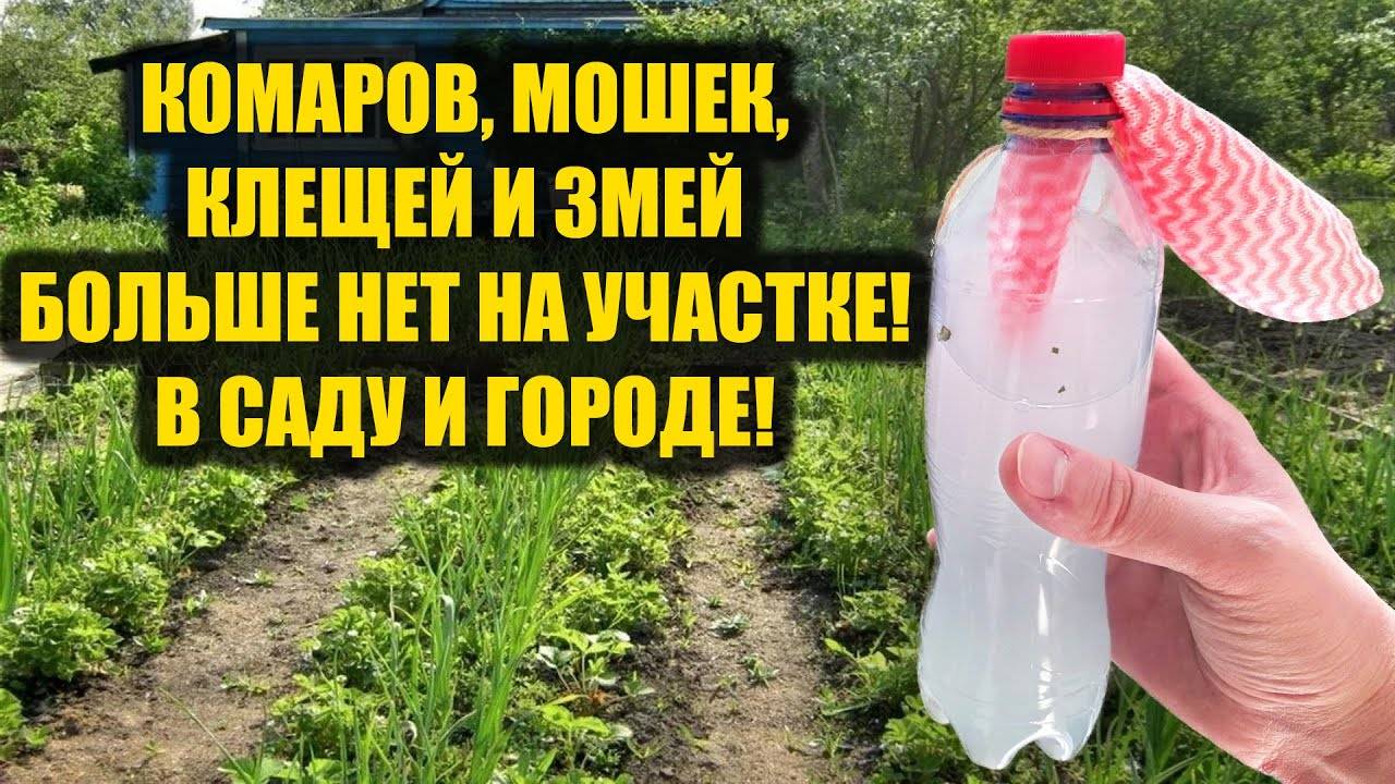 🌿 КАК ИЗБАВИТЬСЯ ОТ КОМАРОВ, МОШЕК, КЛЕЩЕЙ И ЗМЕЙ НА УЧАСТКЕ НАВСЕГДА