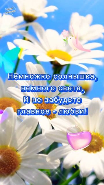 ДОБРОЕ УТРО! 🌺И пусть ВСЁ будет ХОРОШО! 👌С добрым утром! ☕️Доброго утра и отличного настроения!
