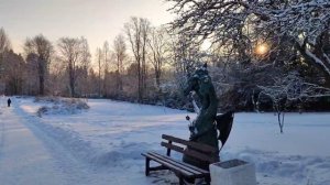 Яблоневый сад зимой в Зеленогорске