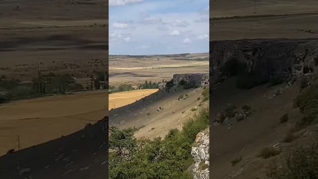 5 августа 2024 г. смотреть онлайн