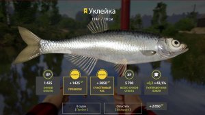 Русская Рыбалка 4. Фарм Уклейкой