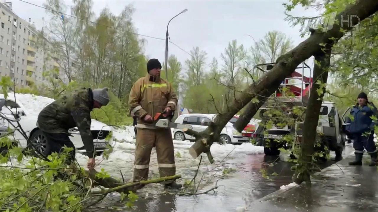 Первомайская метель обесточила часть Подмосковья и ближайшие области