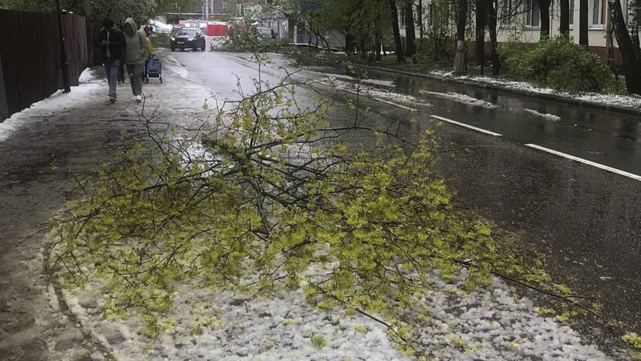 Снежная буря ломала деревья и валила их на машины. Москва переживает жесткий циклон