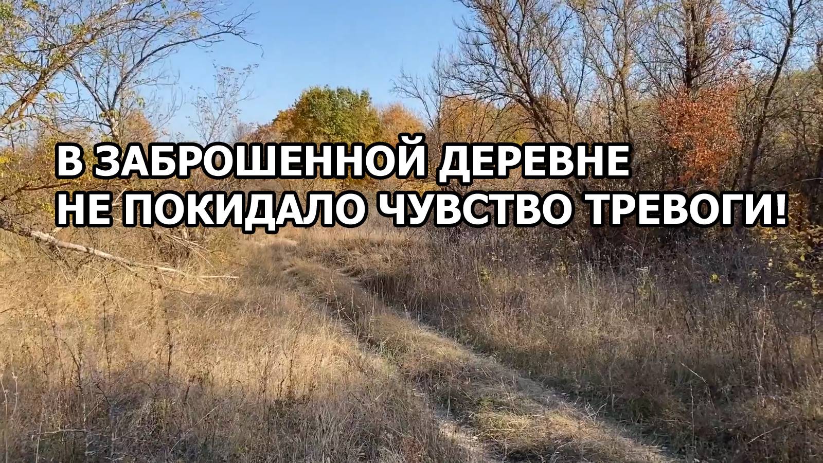 В заброшенной деревне меня не покидало чувство тревоги, но без находок я все равно оттуда не уехал! смотреть онлайн