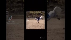 падения с лошадей/лошади/конный спорт/падения