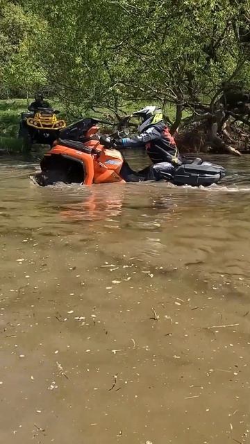 Почти) смотреть онлайн