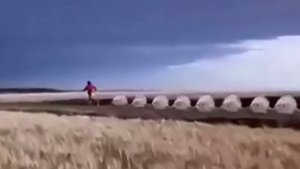 тюлени прыгают под польский рэп | мем из тик тока