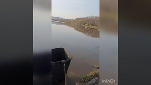 Флэт-фидер ная ловля на водохранилище, товарищи набили садки🐋😅