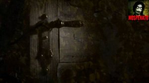 Мои монстры.  Страшные истории на ночь 🫣🫣🫣