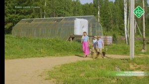 Живая школа на зоо тв