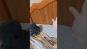 мультфильм Долина игрушек серия 3 весёлогрусный