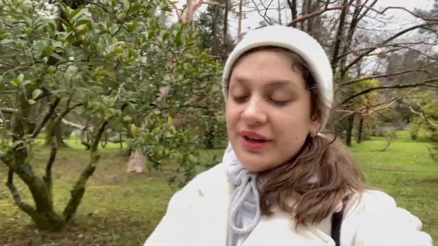 Сочи | парк дендрарий | куда сходить и что посмотреть в Сочи