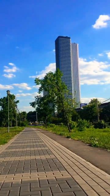 Время прогулки. шпиц июнь