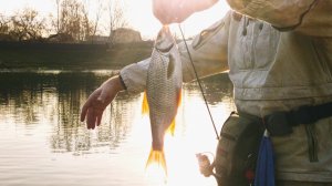 Отлично порыбачили не выезжая из города.