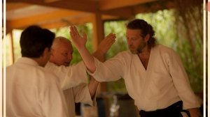 Семинарское занятие «Базовые принципы Айкидо (法, Ho). Теория и практика.» Ирими хо. Часть 2