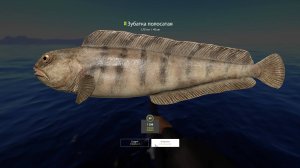 РР4 - Русская рыбалка 4 - Russian fishing 4 - Норвежское море ловим на 55 глубине на Turion 30000 1ч