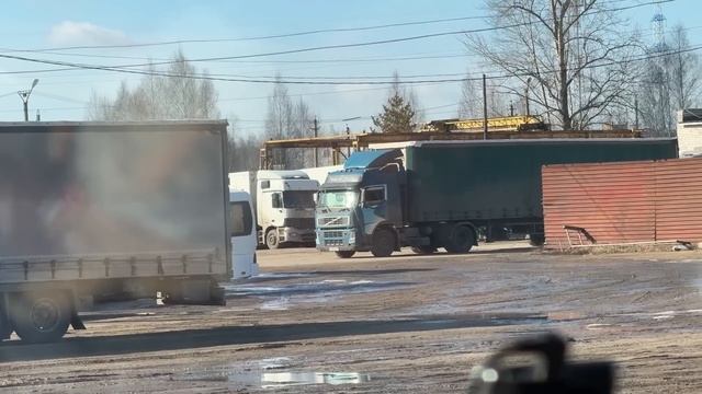 Грузим саженцы на Москву