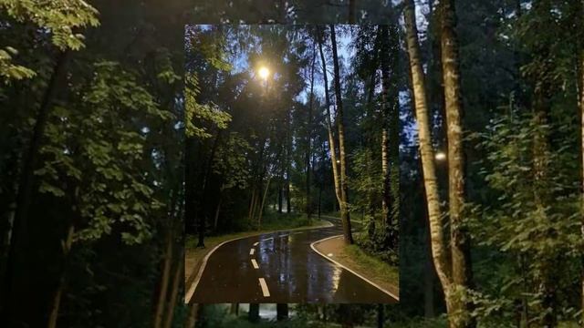 Антон Токарев - а дождь на окнах рисует (slowed)