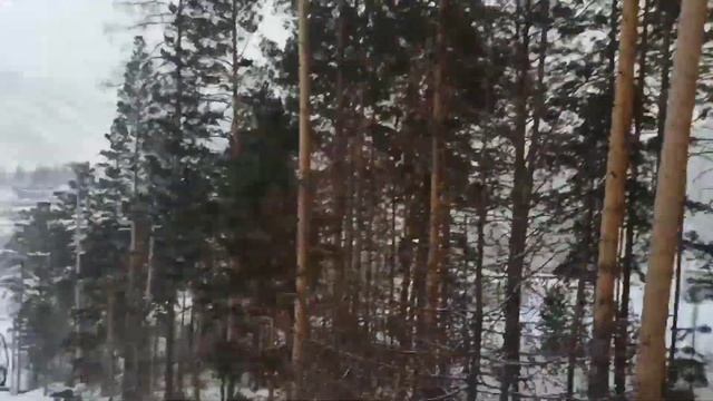 Принял участие в соревнованиях по сноуборду в Красноярске