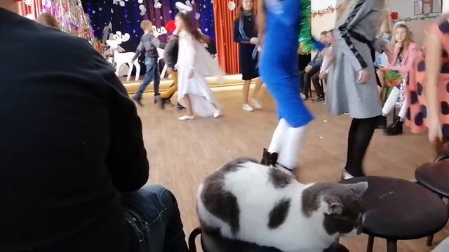 Праздник в 5 классе(5)