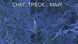 СНЕГ_ТРЕСК_МАЙ!-4К