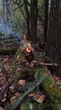 Маленький костер в осеннем лесу